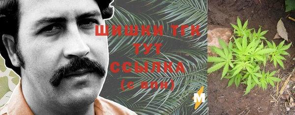 трава Бронницы