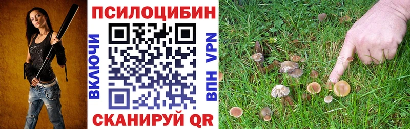 даркнет как зайти  Тула  Псилоцибиновые грибы ЛСД 